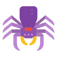 spider