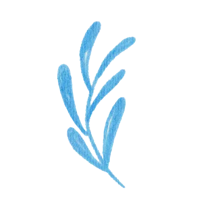 Field flowers. Watercolor illustrations. Wild plants. Pink. Blue. Yellow. Natural elements.