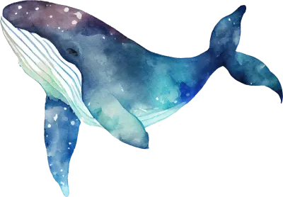 Whale Watercolor Illustration