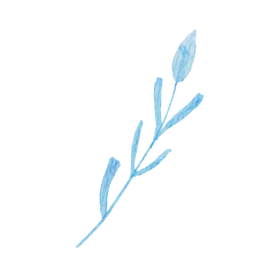 Field flowers. Watercolor illustrations. Wild plants. Pink. Blue. Yellow. Natural elements.