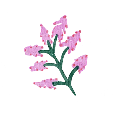 Field flowers. Watercolor illustrations. Wild plants. Pink. Blue. Yellow. Natural elements.