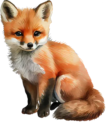 Fox Watercolor Illustration