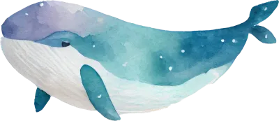 Whale Watercolor Illustration