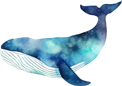 Whale Watercolor Illustration