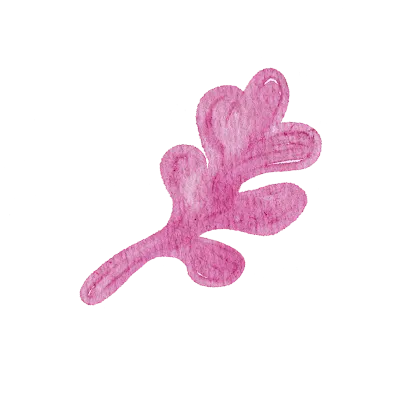 Field flowers. Watercolor illustrations. Wild plants. Pink. Blue. Yellow. Natural elements.