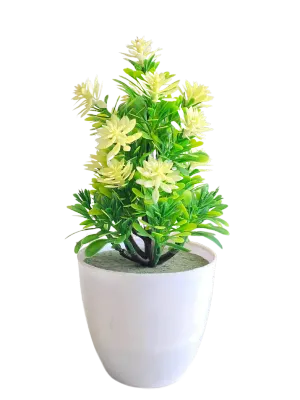 green and white flower pot png