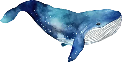 Whale Watercolor Illustration
