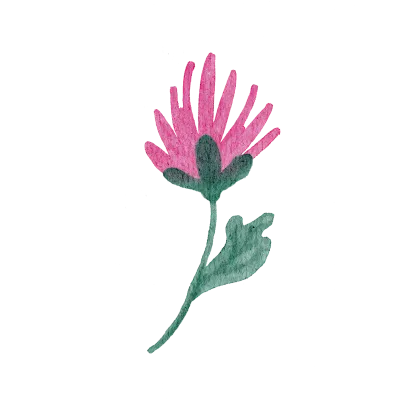 Field flowers. Watercolor illustrations. Wild plants. Pink. Blue. Yellow. Natural elements.