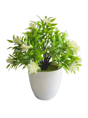 green and white flower pot png