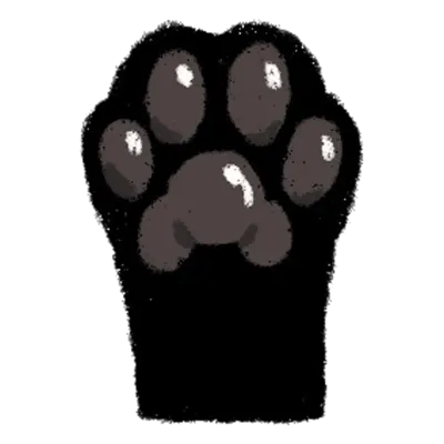 고양이 발