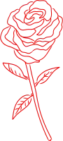 Rose Line Drawing