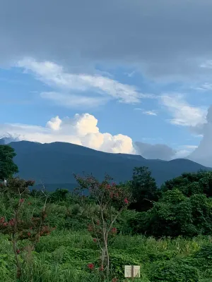 자연