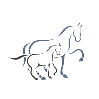 Horse and foal