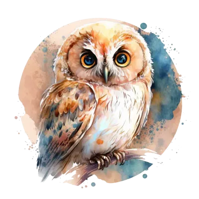 Cute Owl Clipart
