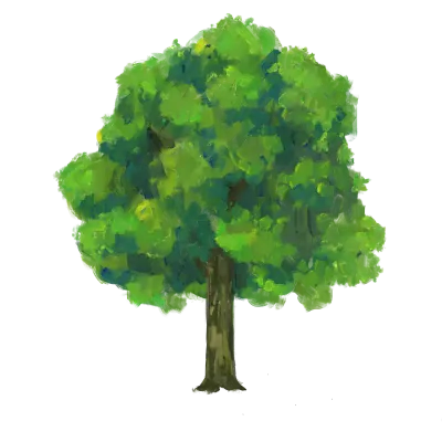 Tree isolated background. Green plant paint illustration.