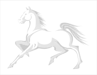 horse3