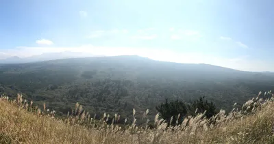 배경