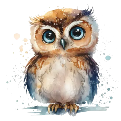 Cute Owl Clipart