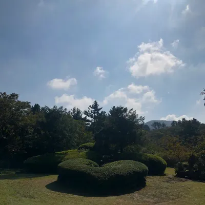 배경