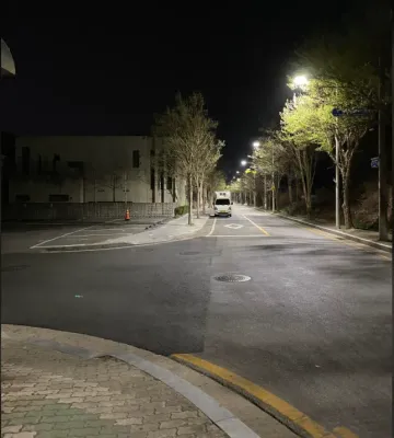 밤 길거리