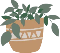 Potted house plant
