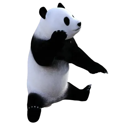 Panda animal isolated 3d rendering