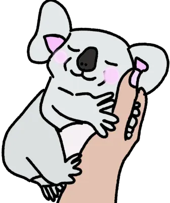 코알라