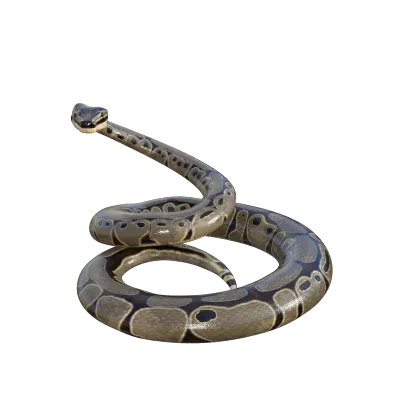 Snake isolated 3d rendering