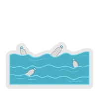 Bottle on Water