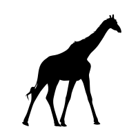 Giraffe  silhouette