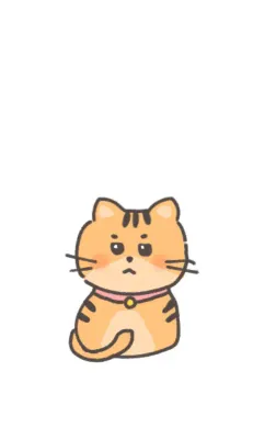 cute orange Tiger cat