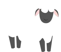 Cute sheep