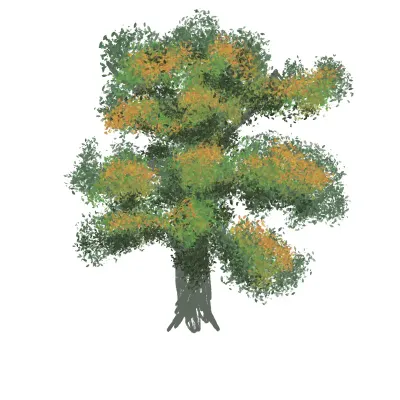 Watercolor Green Tree