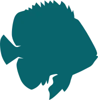 Green Tropical Coral Fish Shillouette9
