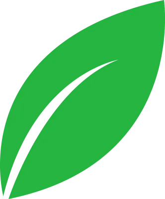 sy-leaf-02