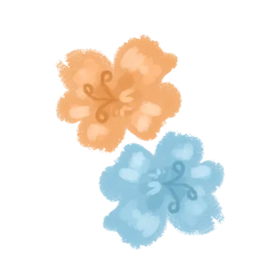 Minimal hibiscus flowers