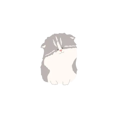 Cat  (3)