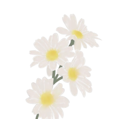 Daisy