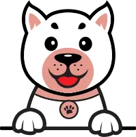 adorable dog