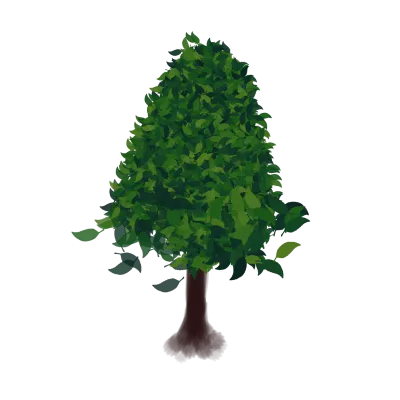 tree