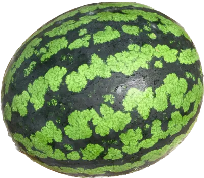 수박