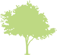 Watercolor Green Tree