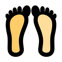 foot