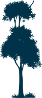 Blue Tree Silhouette14