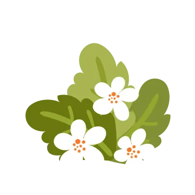 flower and plant
