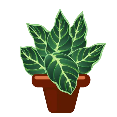 flower and plant