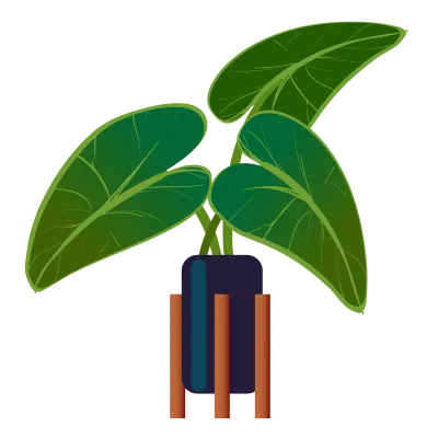 flower and plant