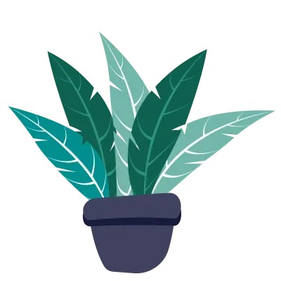 flower and plant