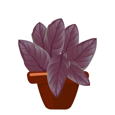 flower and plant