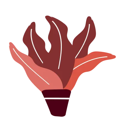 flower and plant